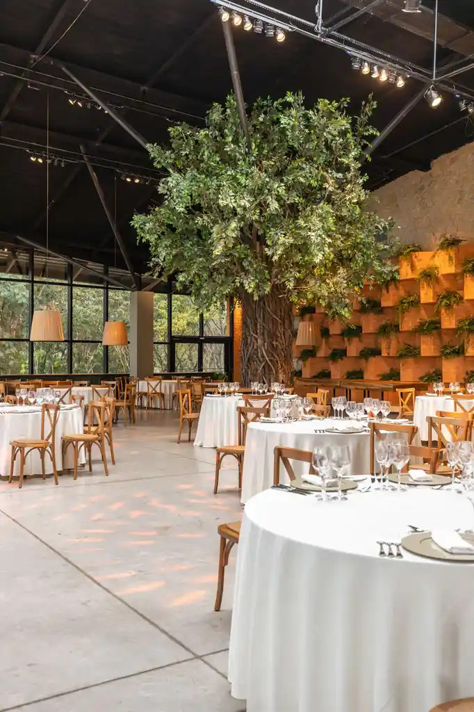Architectural dining atrium with natural greenery and warm perimeter lighting